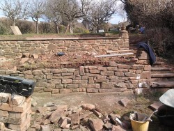 Traditional stone walling and landscape gardening